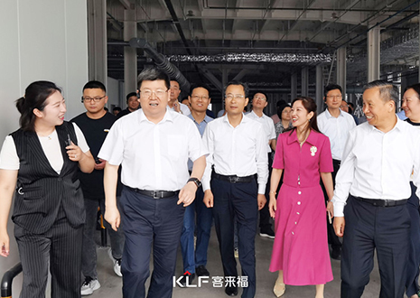 热烈欢迎安徽省淮南市委书记一行调研k8凯发官网家居产业园建设项目